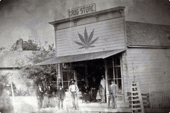 Washington cannabis history