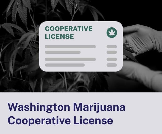 Washington Marijuana Cooperative License