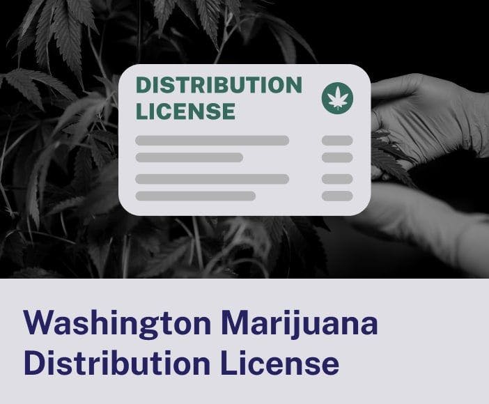 Washington Marijuana Distribution License