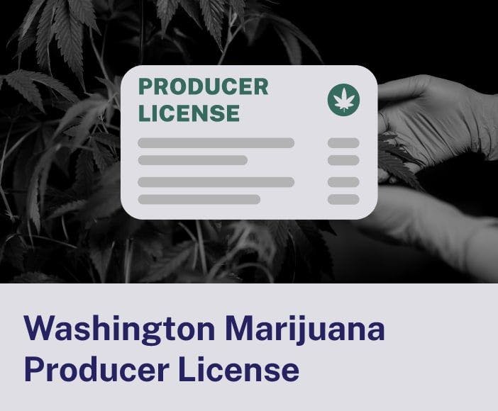 Washington Producer Marijuana License