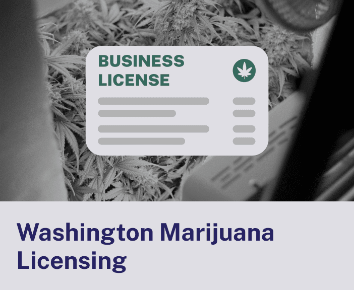 Washington Marijuana Licensing