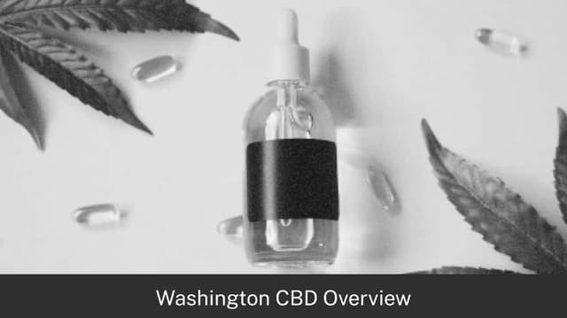 Washington CBD